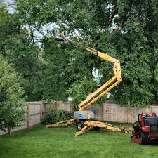 Lawn Pest Prevention in Timpson, TX