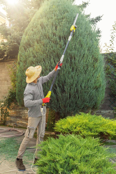 Best Weed Control  in Timpson, TX